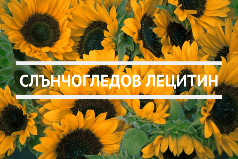 Слънчогледов лецитин